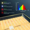 Mars Hydro TSW2000 Komplettset 120x120x200cm Growbox + 300W LED + Carbon Filter