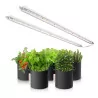 Spider Farmer GLOW80 80W LED Grow Lampe – 2 Light Bars, volles Lichtspektrum, 80x80 cm