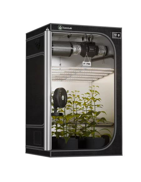 Cannlab Pro60 kweekset - Complete set met kweekkast 120×120, IQ-6 ventilatie & accessoires voor professionals