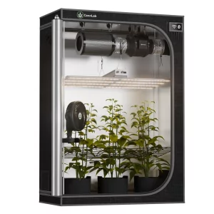 Cannlab Pro40 grow box complete set - 140×70×200 cm, LED 320W, ventilation