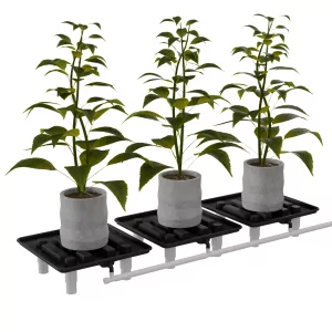 Cannlab Drain Abtropfständer 39 x 39 cm mit Auffangwanne & Schlauchanschluss 2