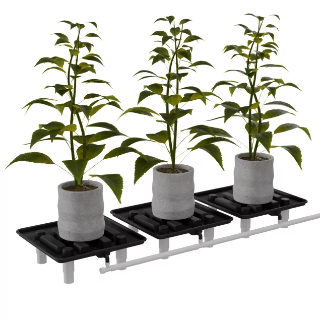 Cannlab Drain Abtropfständer 39 x 39 cm mit Auffangwanne & Schlauchanschluss