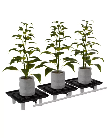 Cannlab Drain égouttoir 39 x 39 cm avec bac de récupération & raccord de tuyau