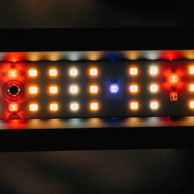 Cannlab Pro20 Grow Kit – Komplettset: Growbox 60×60, LED 240W + UV, Lüftungsset & Zubehör