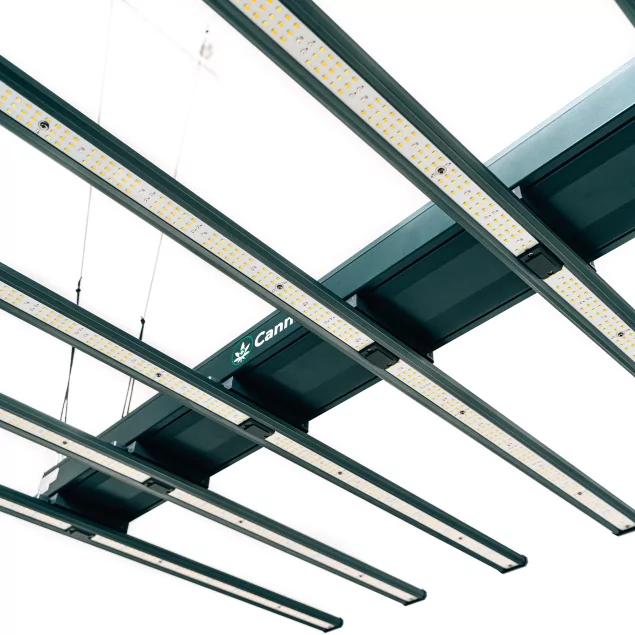 Cannlab LED grow lamp 640W + UV60W - espectro completo, Samsung & Osram, controlador