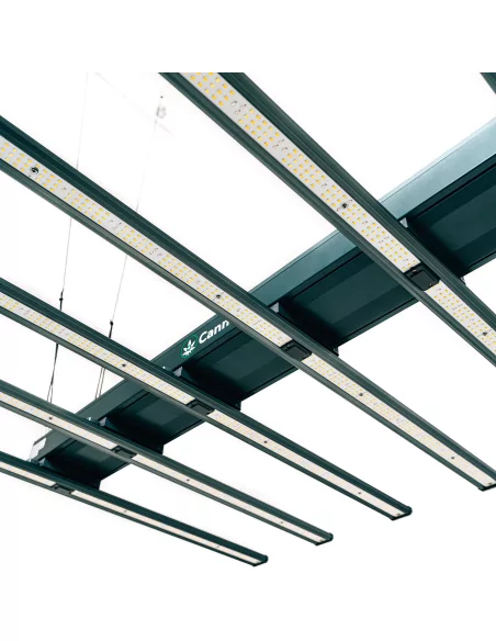 Cannlab LED Grow Lampe 640W + UV60W - spectre complet, Samsung & Osram, contrôleur