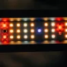 Cannlab LED Grow Lamp 640W + UV60W - Plné spektrum, Samsung LM301B a čipy Osram - Pro stany 120×120 až 150×150 cm