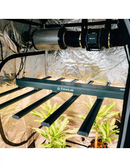 Cannlab LED Grow Lampe 640W + UV60W - spectre complet, Samsung & Osram, contrôleur