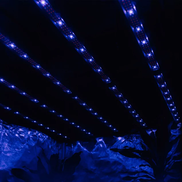 Cannlab LED Grow Lampe 240W + UV30W - spectre complet, Samsung & Osram, contrôleur