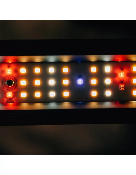 Cannlab LED Grow Lampe 240W + UV30W - spectre complet, Samsung & Osram, contrôleur