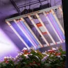 Spider Farmer SE 1000W LED Grow Lampe – Volles Lichtspektrum, hohe Effizienz, 150x150 cm