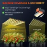 Spider Farmer SE 1000W LED Grow Lampe – Volles Lichtspektrum, hohe Effizienz, 150x150 cm