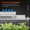 Spider Farmer SF1000 Komplettset 60x60x140cm Growbox mit 100W LED und Belüftungssystem